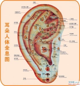chinese ear
